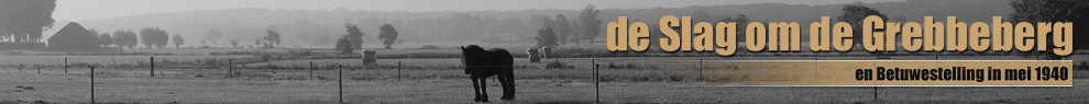 De Slag om de Grebbeberg en Betuwestelling in mei 1940